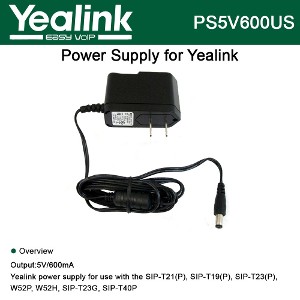 PS5V600US