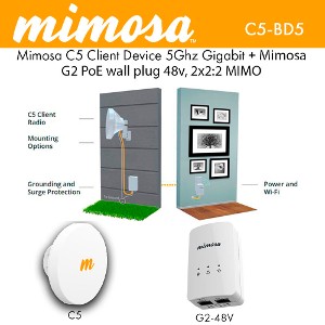 C5-BD5