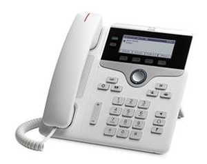 CP-7821-W-K9=